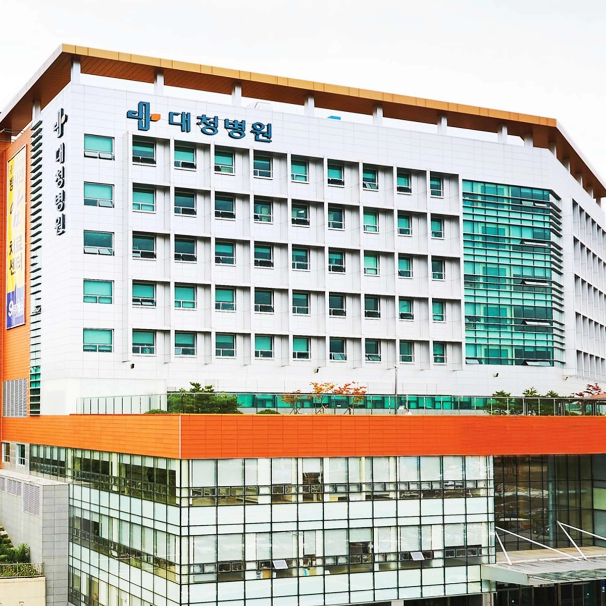 대청병원